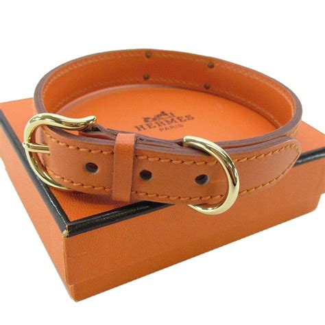 hermes hondenriem|Hermes equestrian dog accessories.